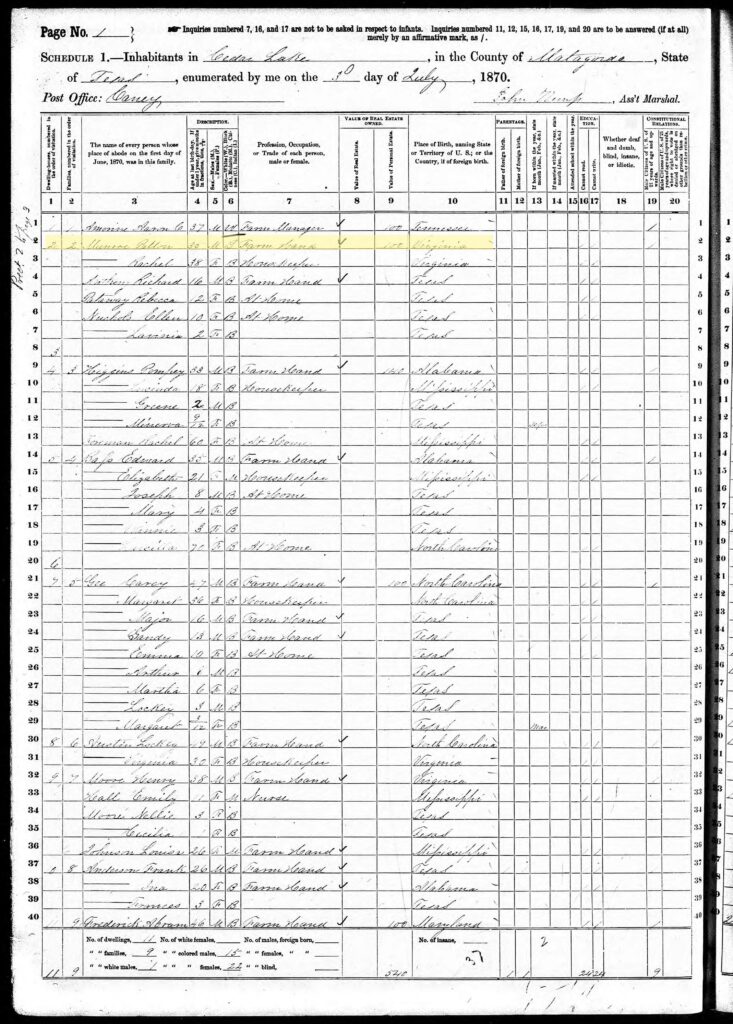 1870 census record with Patton Munroe highlighted