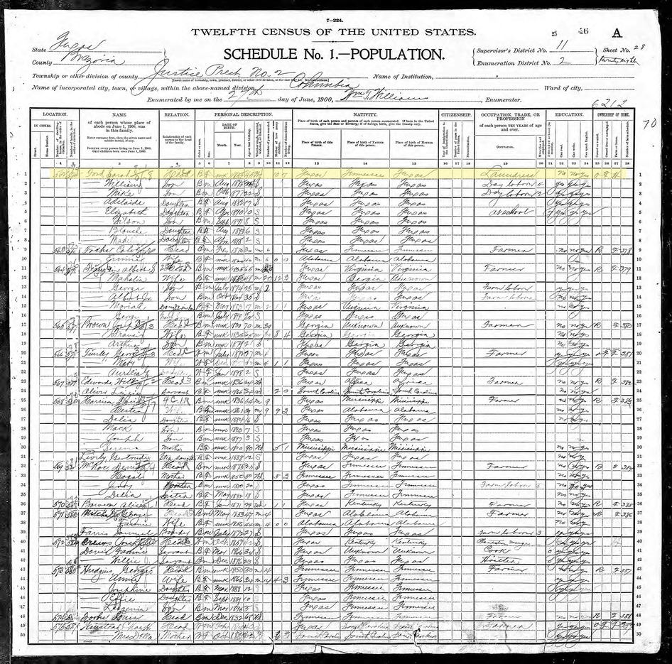 one page of the 1900 census with Sarah Ford's name highlighted.