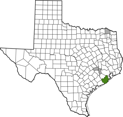 Texas map with counties outlined in black. brazoria-county is highlighted in red.