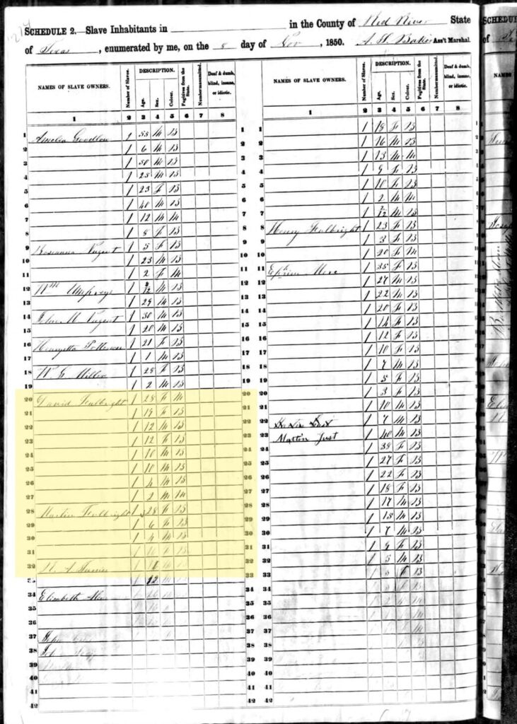 This page from 1850 U.S. Census Slave Schedule enumerates David Fulbright and Martin Fulbright's enslaved property. Martin enslaved eight people including a 28-year-old woman, a 19-year-old girl, a 12-year-old girl, a 12-year old boy, two 10-year-old boys, a 4-yeard old boy, and a 2-year-old boy. Martin Fulbright enslaved a 28-year-old woman, and three children ranging in ages from 10 to 4.