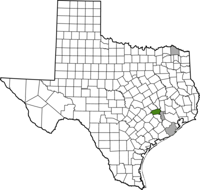 Texas map with counties outlined in black. washington-county is highlighted in red.