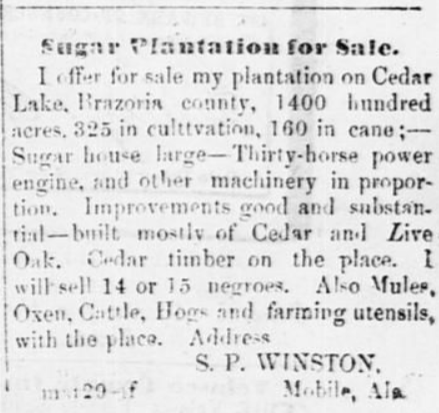 newspaper ad for Stephen Winston's plantation